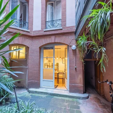 Charming City-center Flat With Terrace Τουλούζη