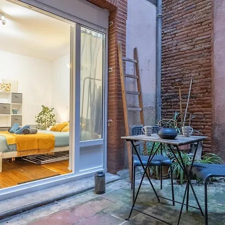 Charming City-center Flat With Terrace Τουλούζη