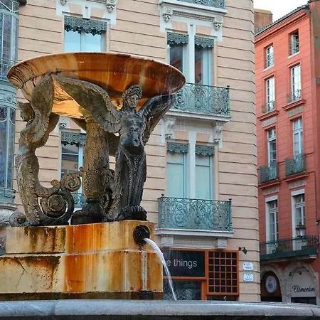 Charming City-center Flat With Terrace Toulouse